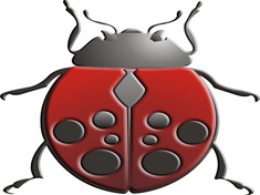 Organic 2010 - 5� edi��o